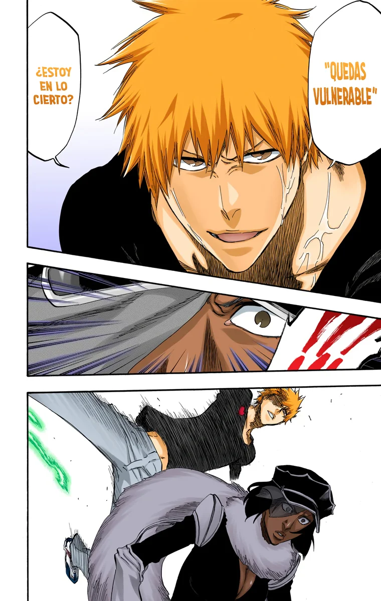 Bleach – Digital Colored Comics Capítulo 443 - Page 17