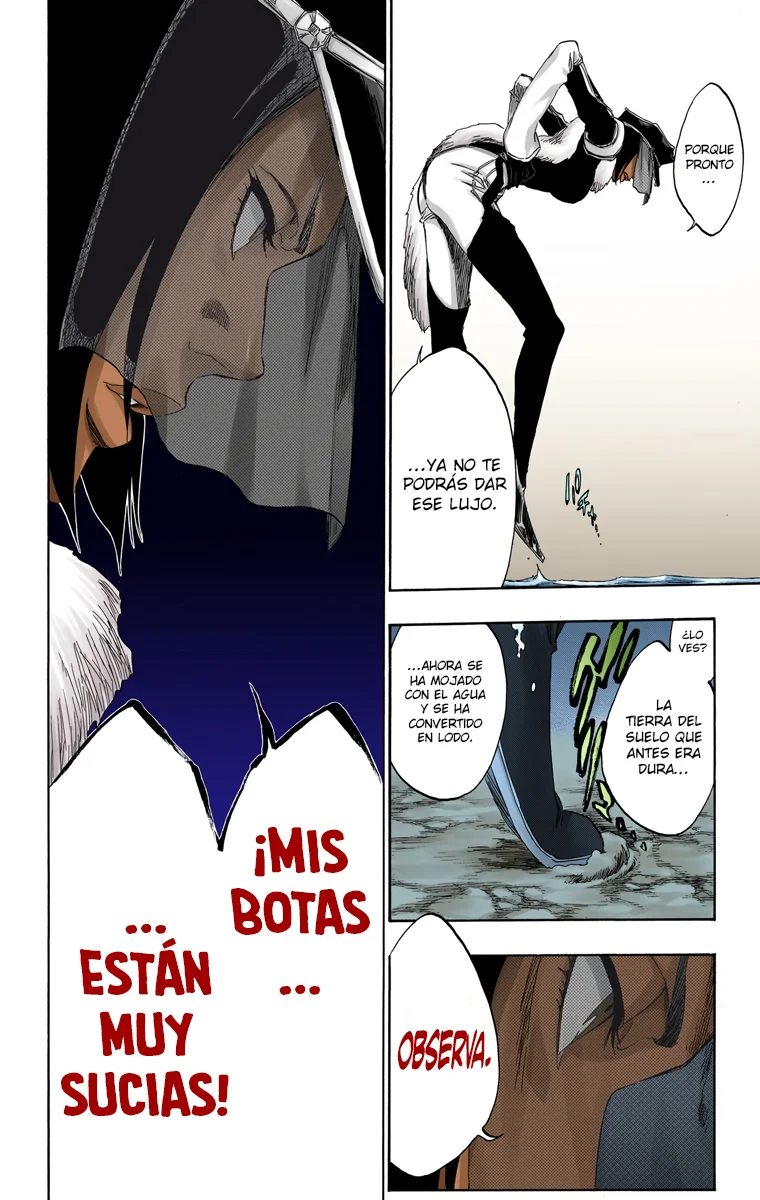 Bleach – Digital Colored Comics Capítulo 443 - Page 9