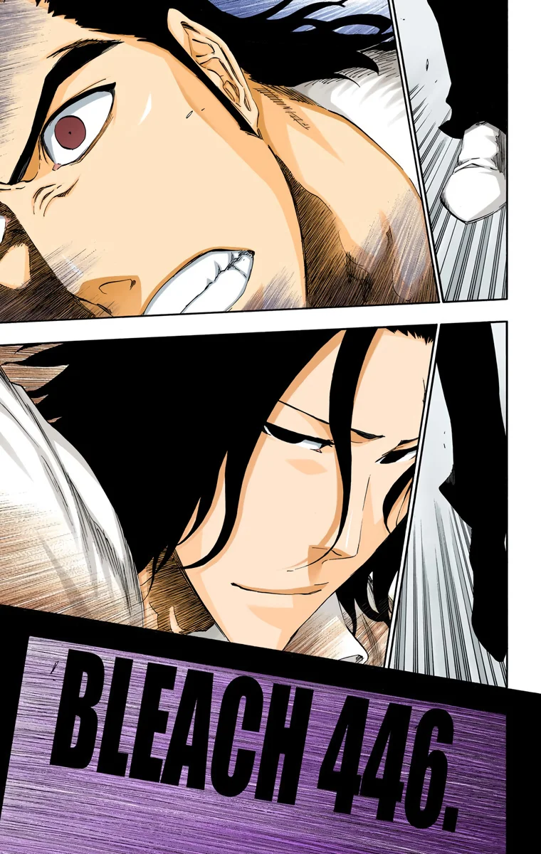Bleach – Digital Colored Comics Capítulo 446 - Page 8