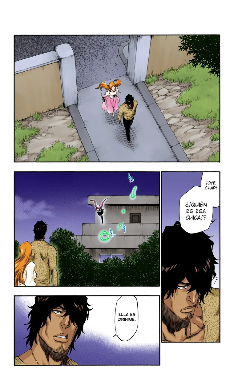 Bleach – Digital Colored Comics Capítulo 448 - Page 13