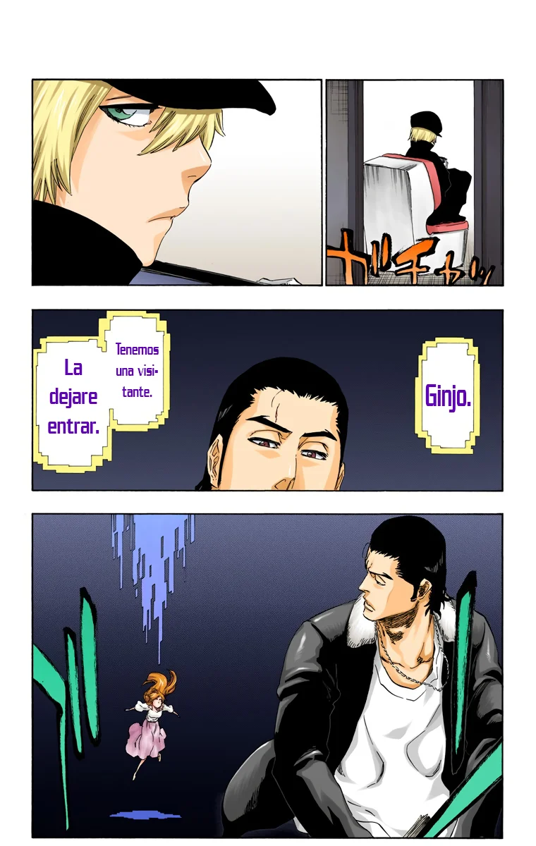 Bleach – Digital Colored Comics Capítulo 448 - Page 17