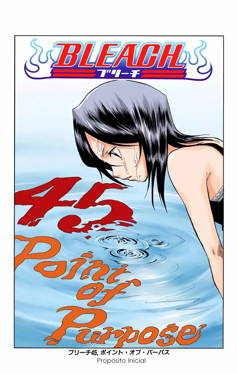 Bleach – Digital Colored Comics Capítulo 45 - Page 6