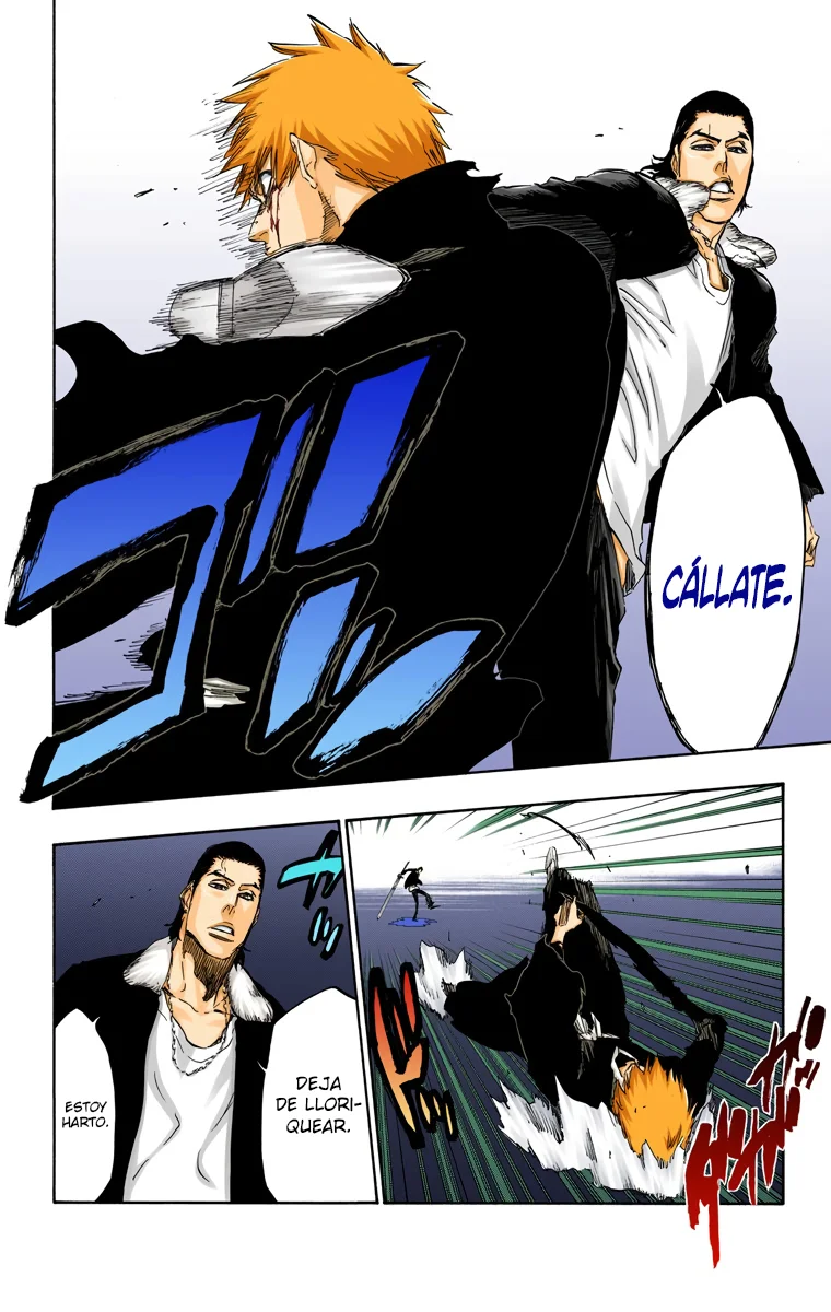 Bleach – Digital Colored Comics Capítulo 451 - Page 9