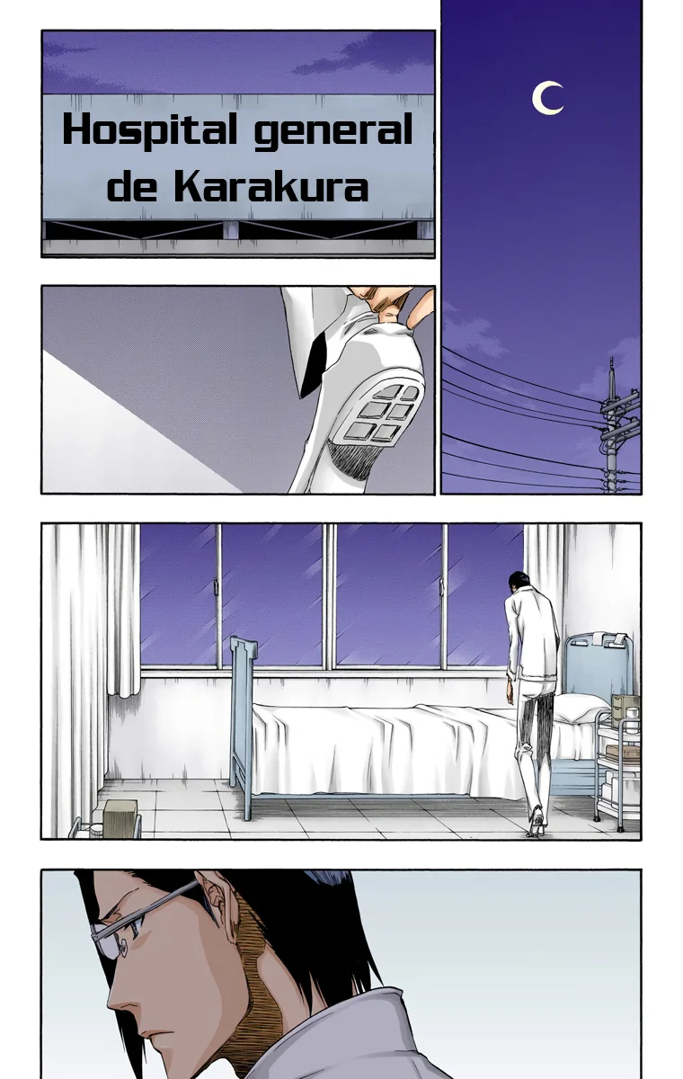Bleach – Digital Colored Comics Capítulo 454 - Page 18