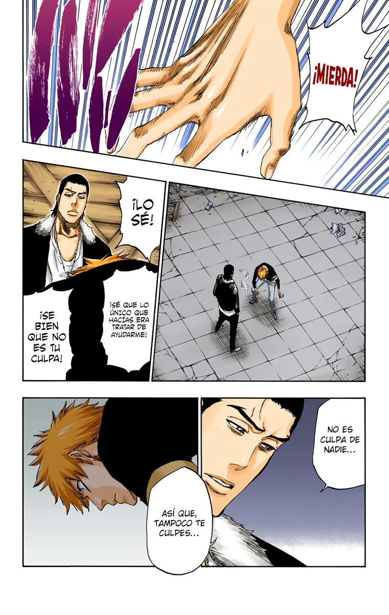 Bleach – Digital Colored Comics Capítulo 454 - Page 7
