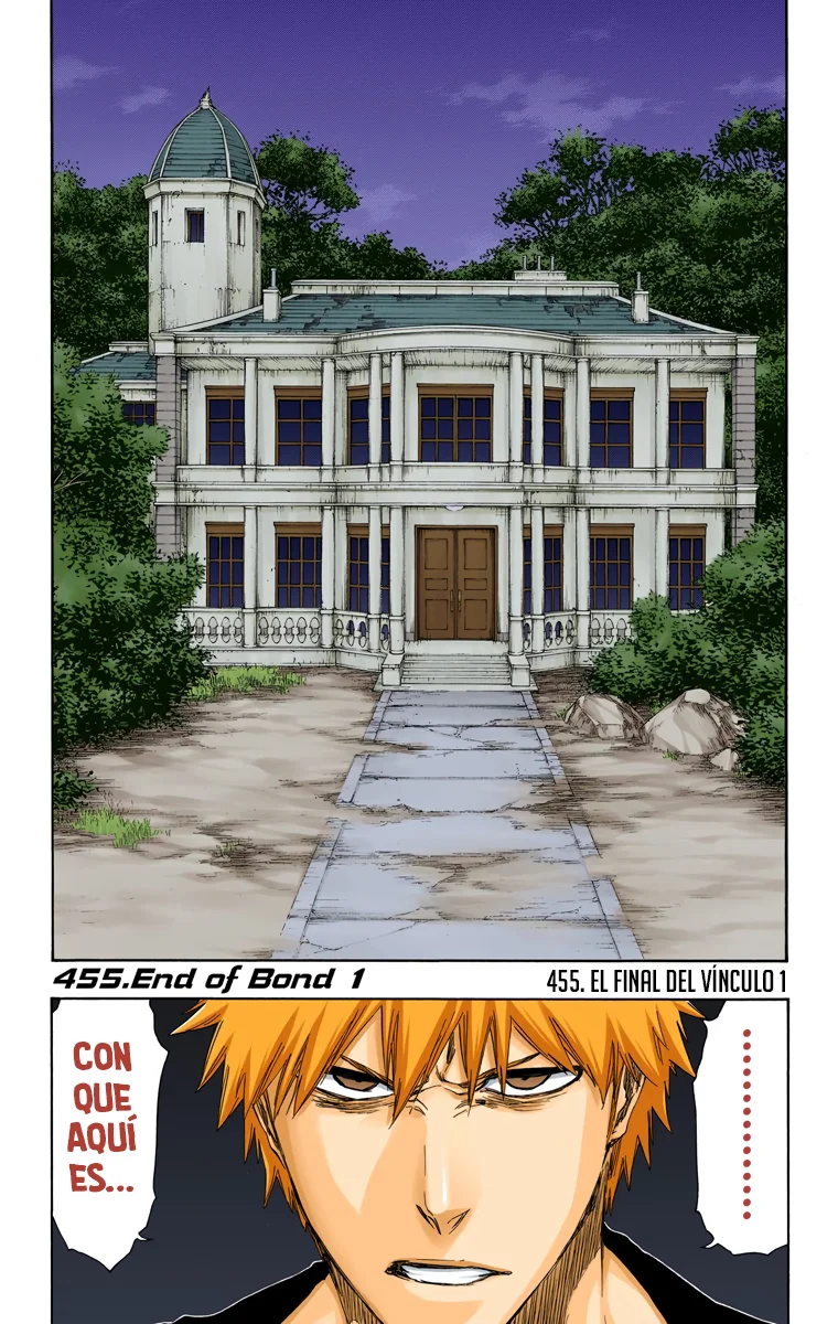 Bleach – Digital Colored Comics Capítulo 455 - Page 2