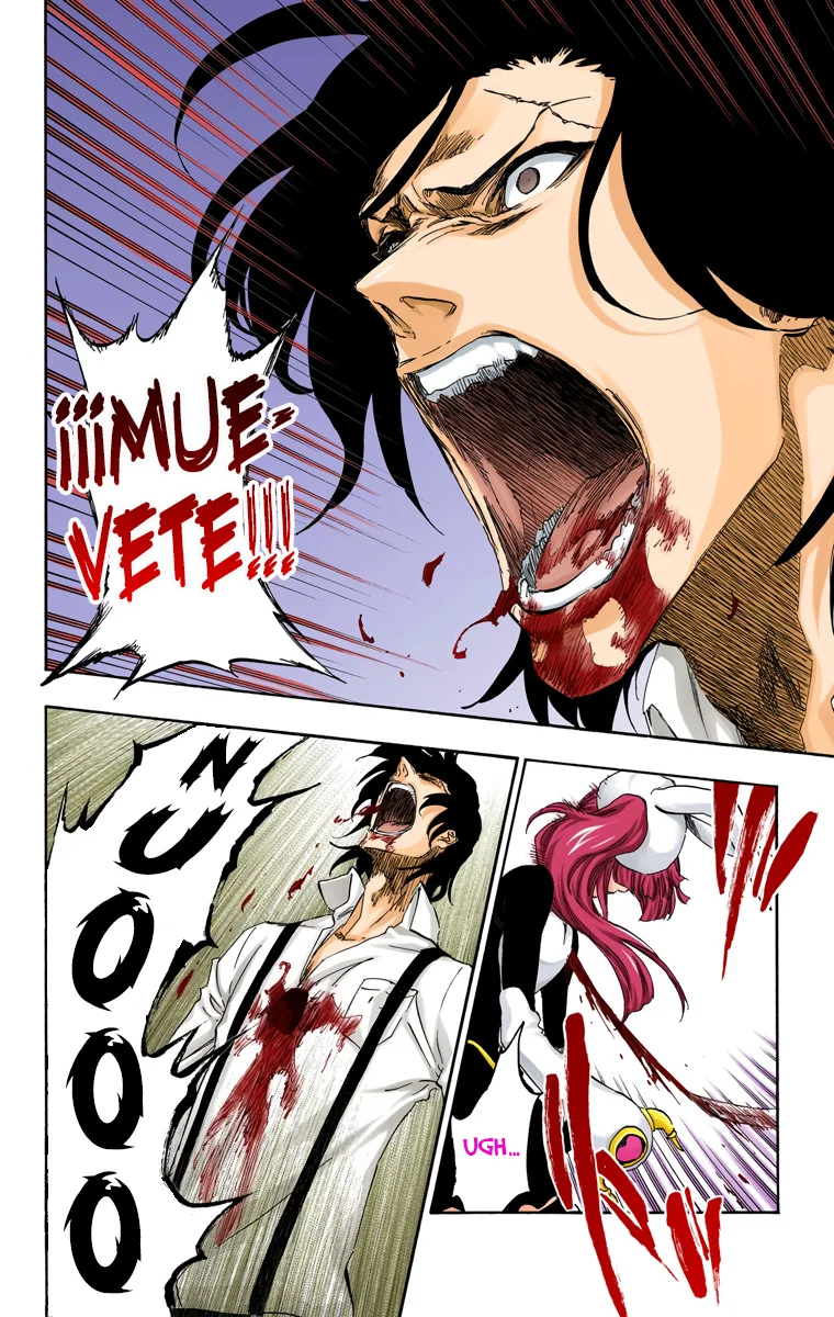 Bleach – Digital Colored Comics Capítulo 477 - Page 17