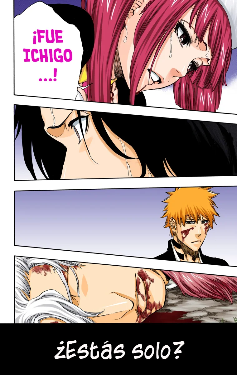 Bleach – Digital Colored Comics Capítulo 477 - Page 19