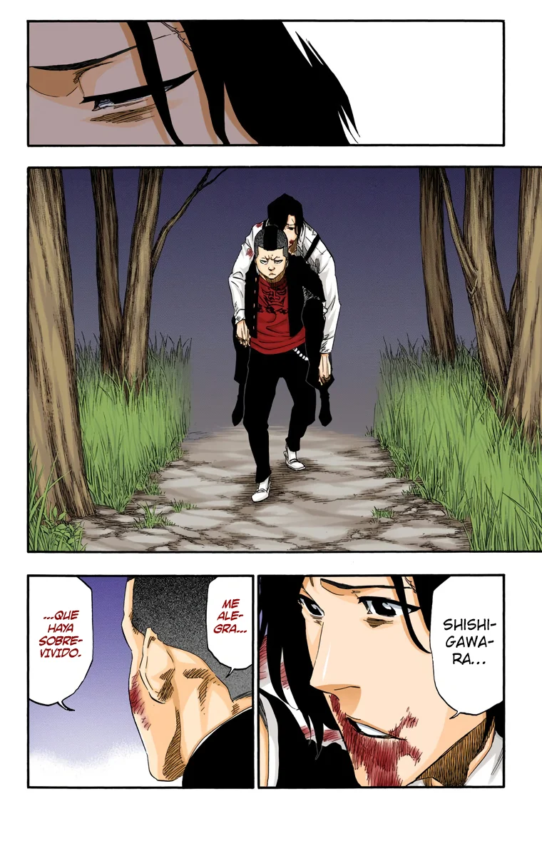 Bleach – Digital Colored Comics Capítulo 478 - Page 17