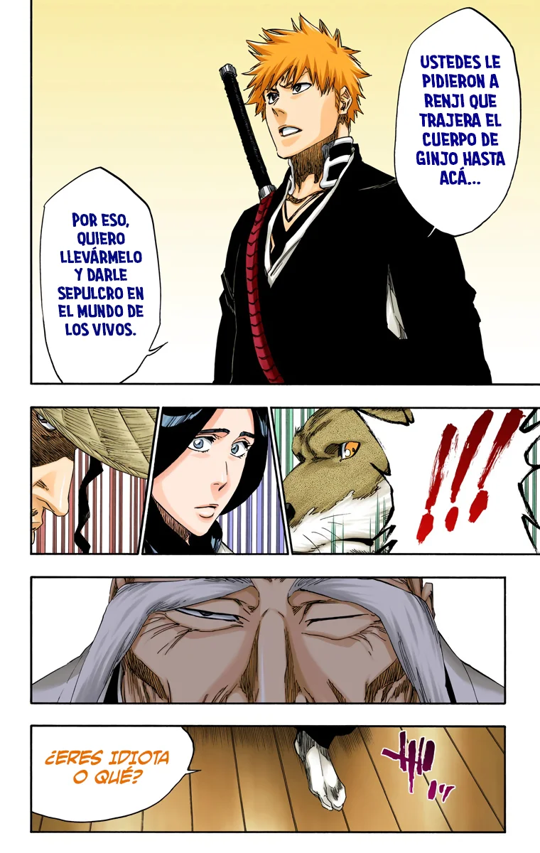 Bleach – Digital Colored Comics Capítulo 479 - Page 13