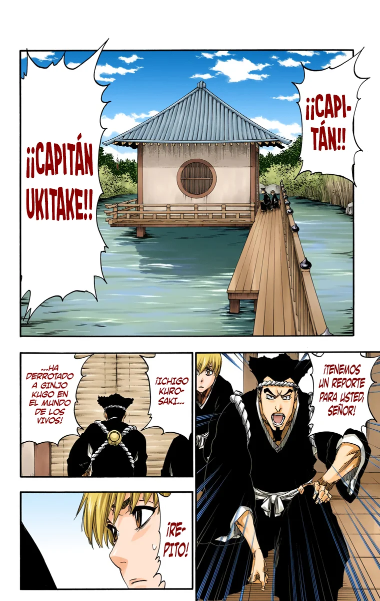 Bleach – Digital Colored Comics Capítulo 479 - Page 5