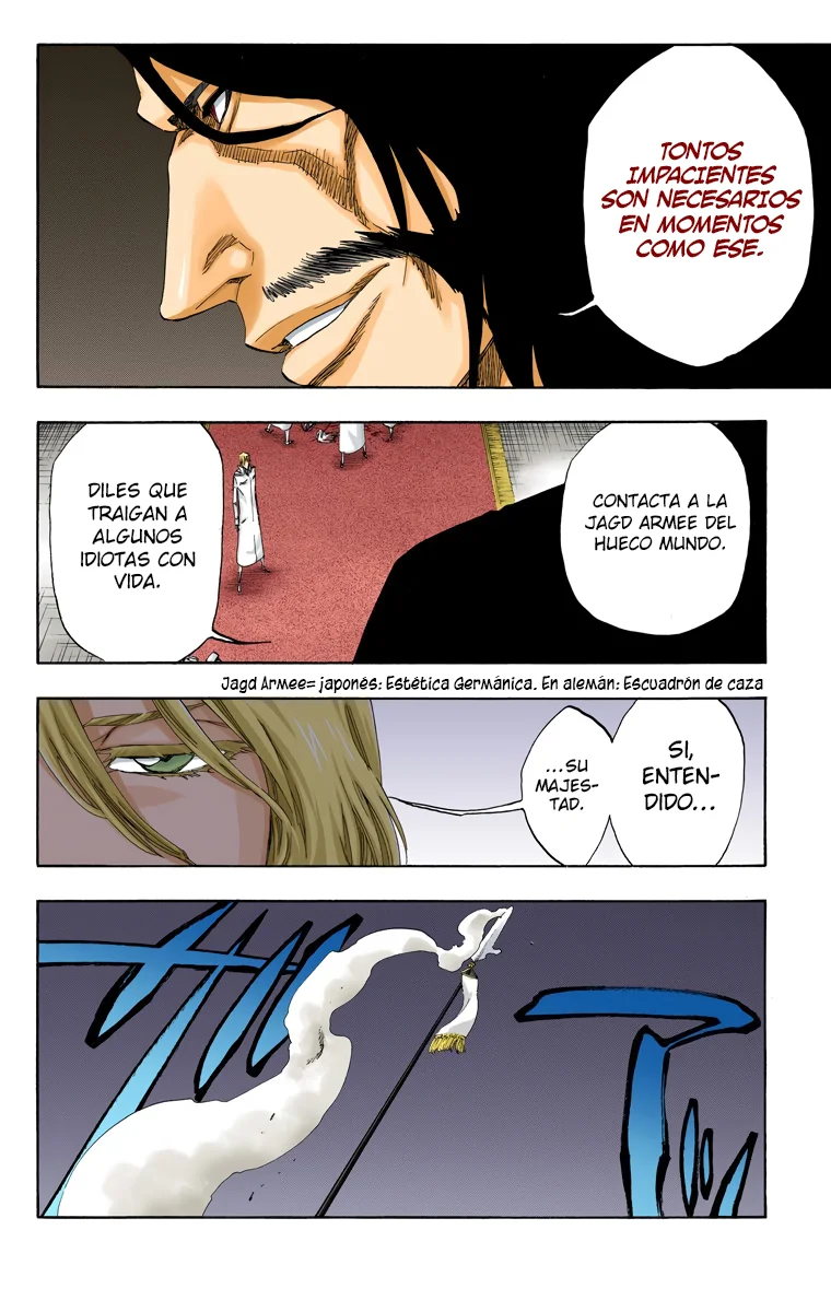Bleach – Digital Colored Comics Capítulo 486 - Page 17