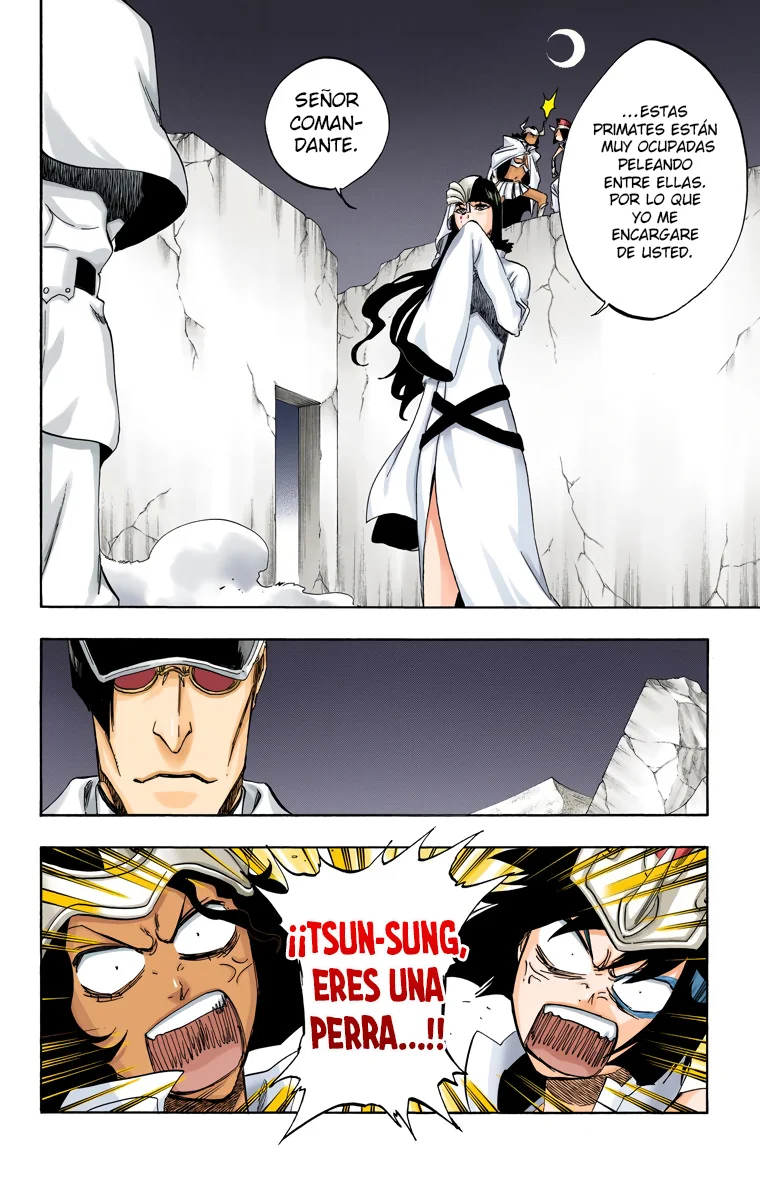 Bleach – Digital Colored Comics Capítulo 488 - Page 3
