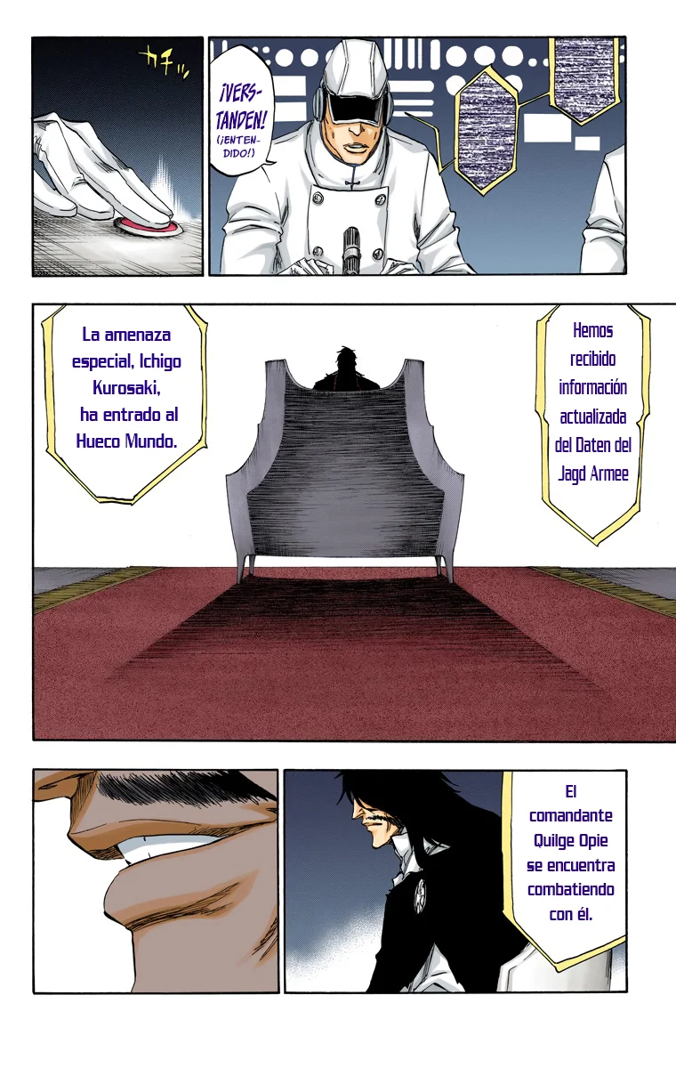 Bleach – Digital Colored Comics Capítulo 489 - Page 13
