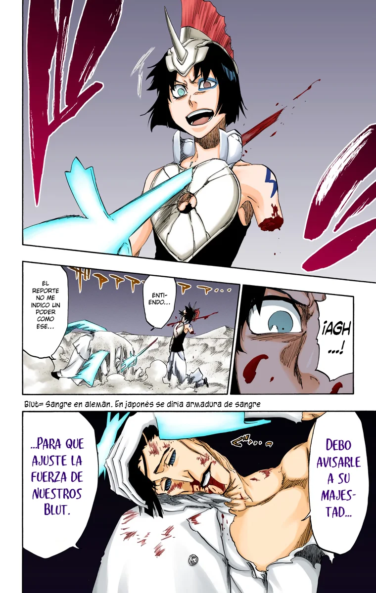 Bleach – Digital Colored Comics Capítulo 492 - Page 17