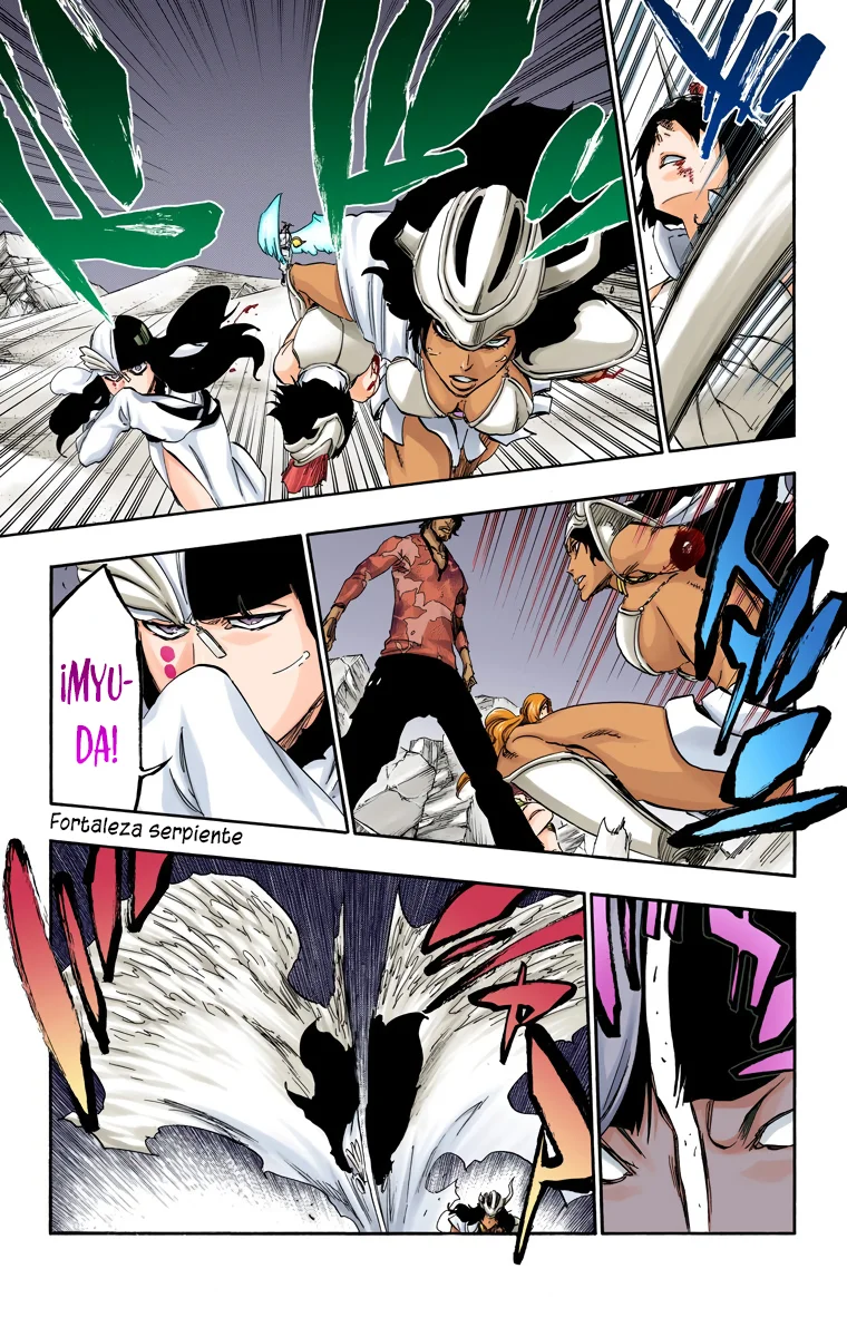 Bleach – Digital Colored Comics Capítulo 493 - Page 8