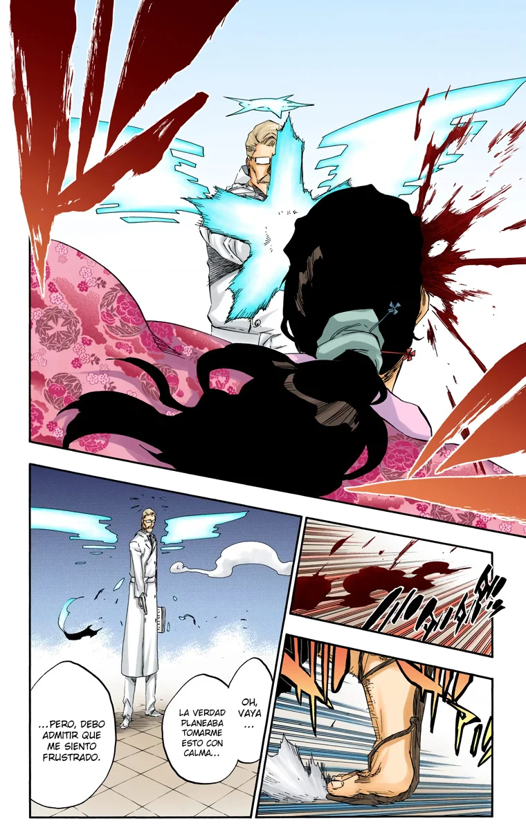 Bleach – Digital Colored Comics Capítulo 497 - Page 13