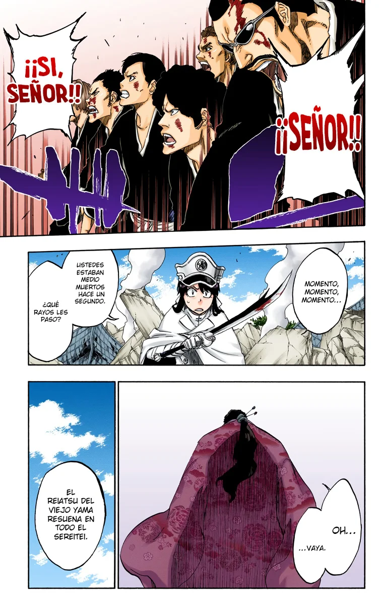 Bleach – Digital Colored Comics Capítulo 505 - Page 13