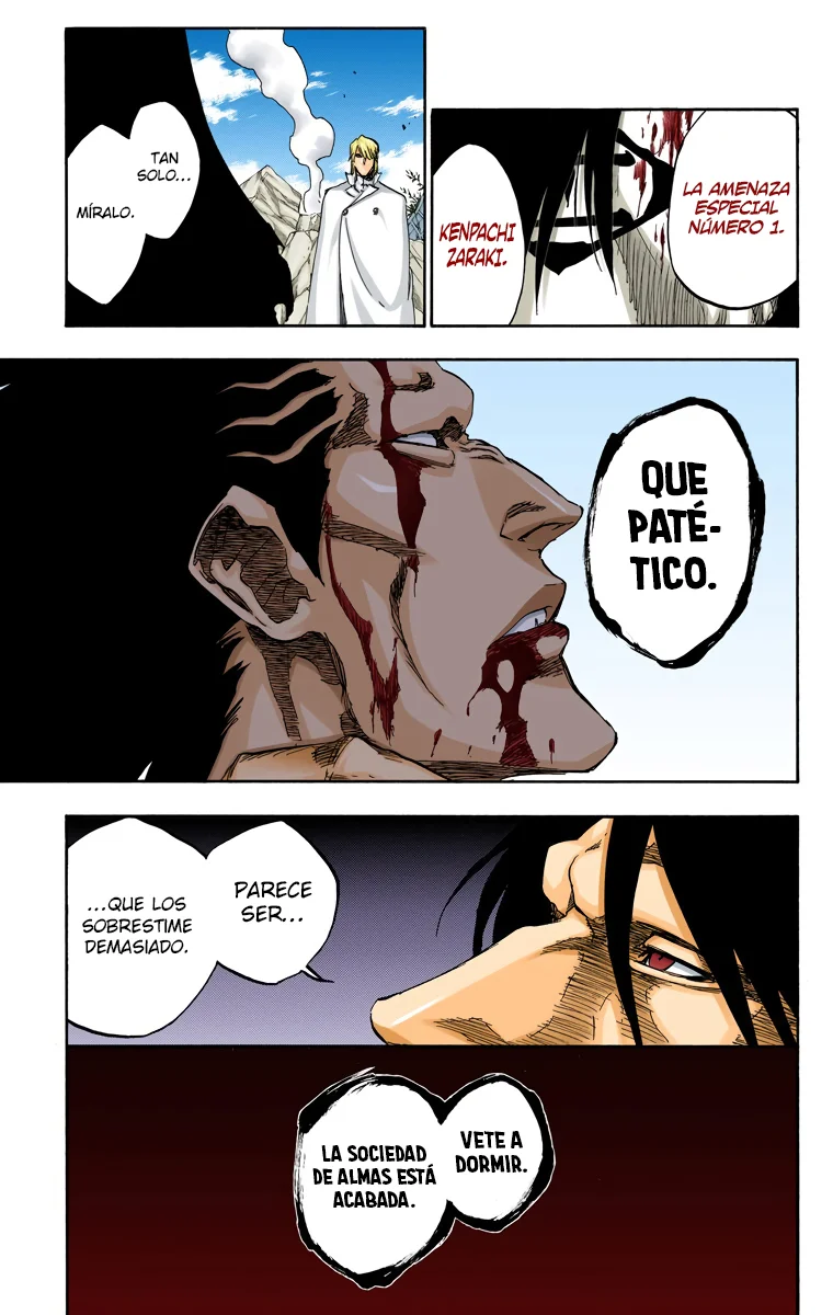 Bleach – Digital Colored Comics Capítulo 505 - Page 17