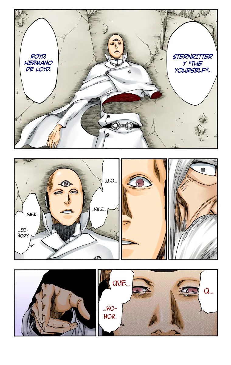 Bleach – Digital Colored Comics Capítulo 510 - Page 12