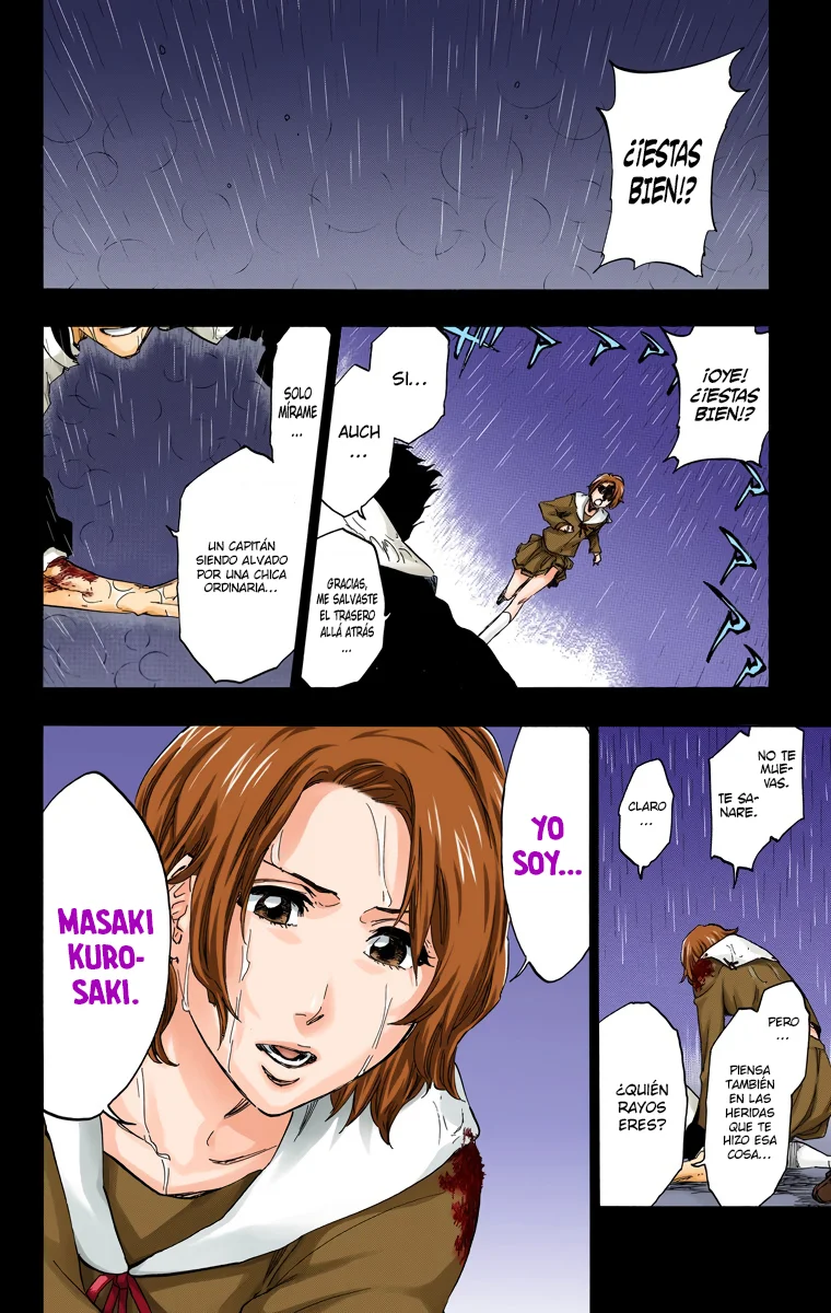Bleach – Digital Colored Comics Capítulo 528 - Page 17