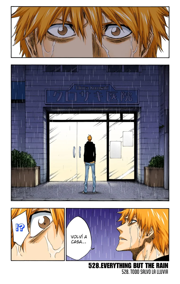 Bleach – Digital Colored Comics Capítulo 528 - Page 2