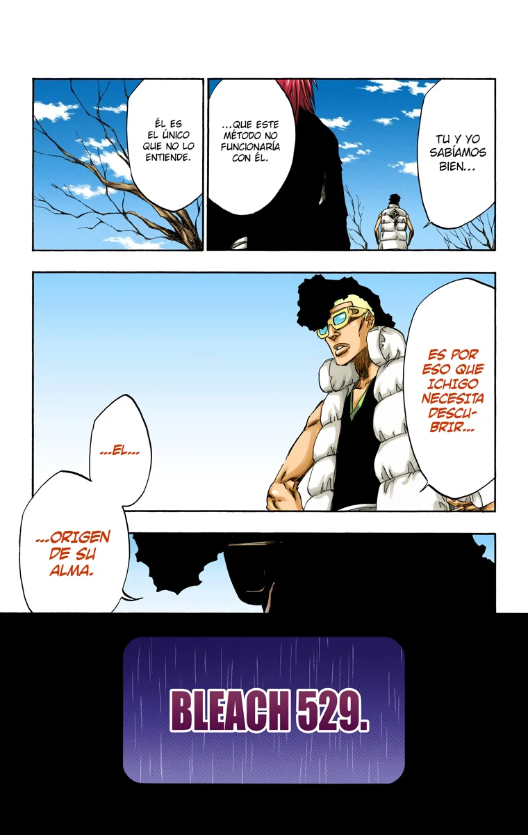 Bleach – Digital Colored Comics Capítulo 529 - Page 5