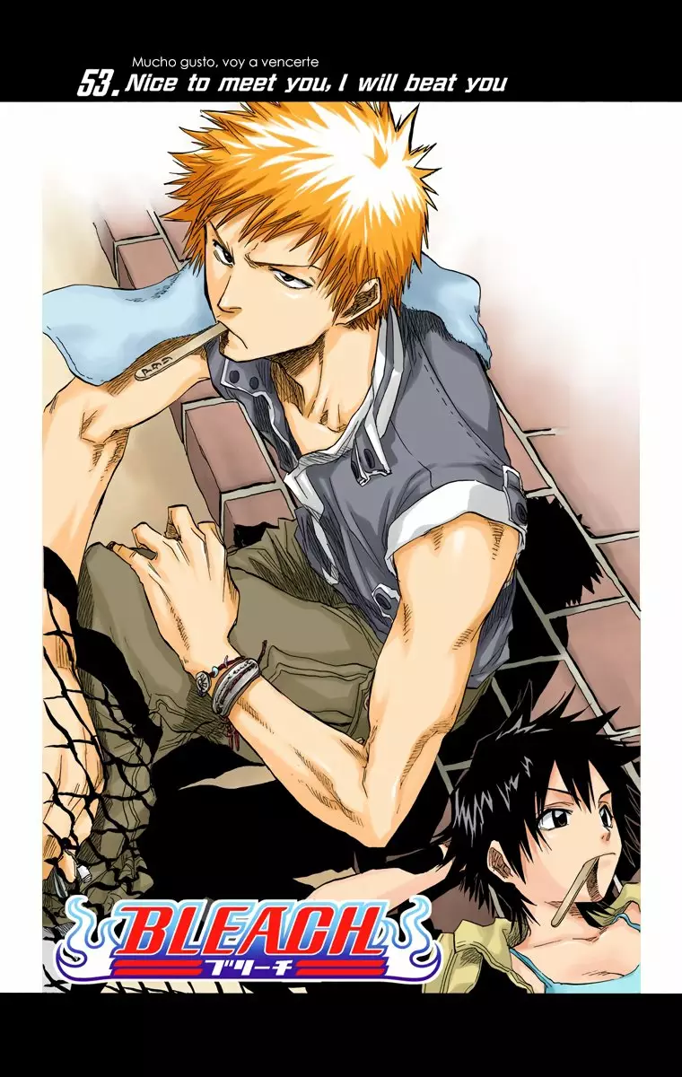 Bleach – Digital Colored Comics Capítulo 53 - Page 10