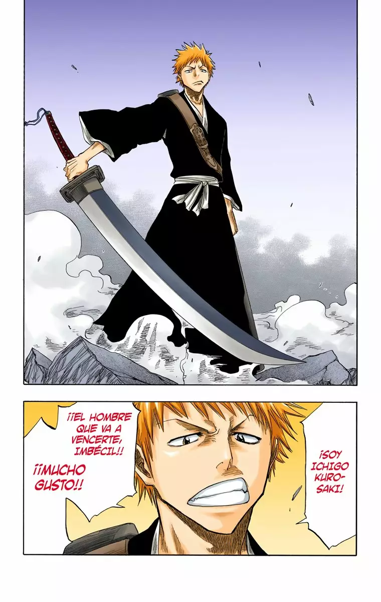 Bleach – Digital Colored Comics Capítulo 53 - Page 24