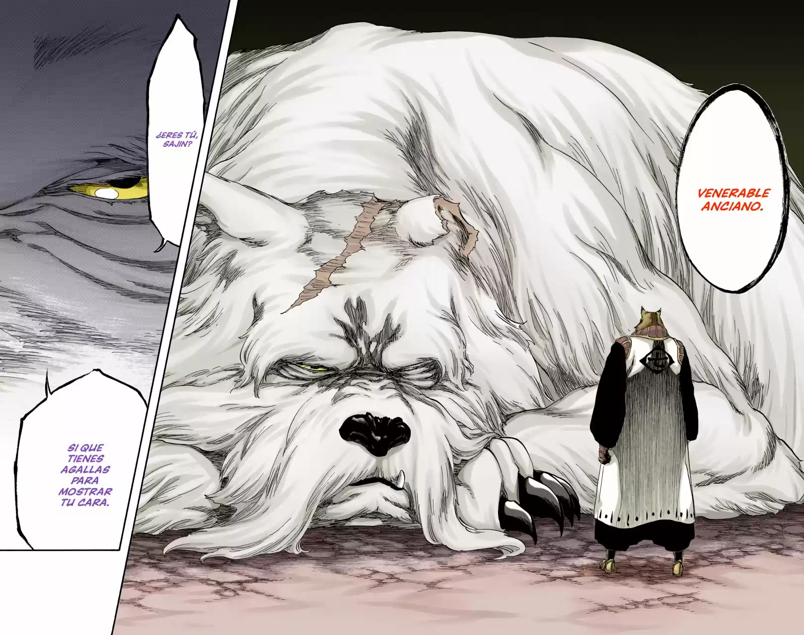 Bleach – Digital Colored Comics Capítulo 538 - Page 17