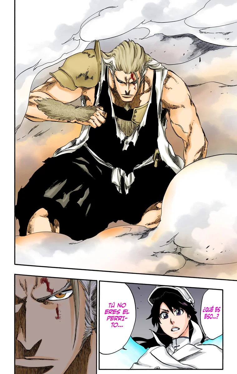 Bleach – Digital Colored Comics Capítulo 556 - Page 13