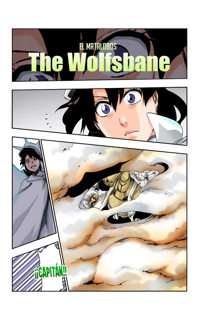 Bleach – Digital Colored Comics Capítulo 556 - Page 5