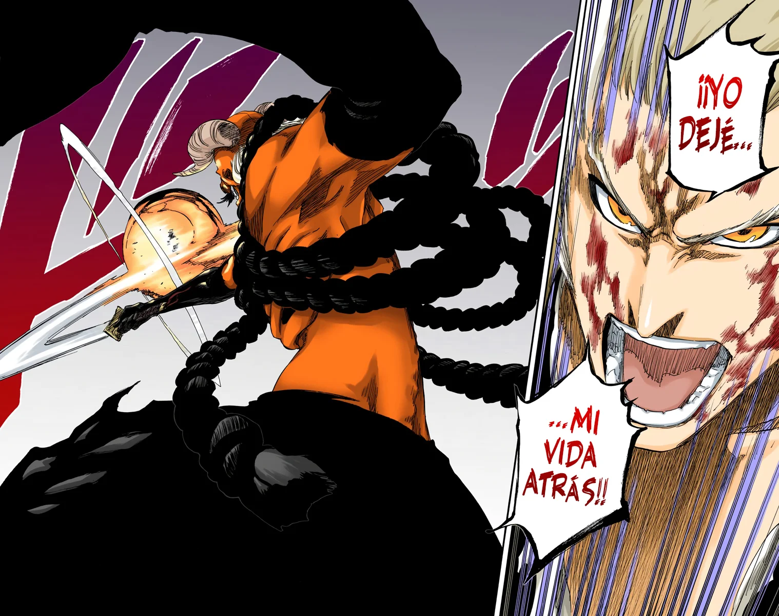 Bleach – Digital Colored Comics Capítulo 557 - Page 16