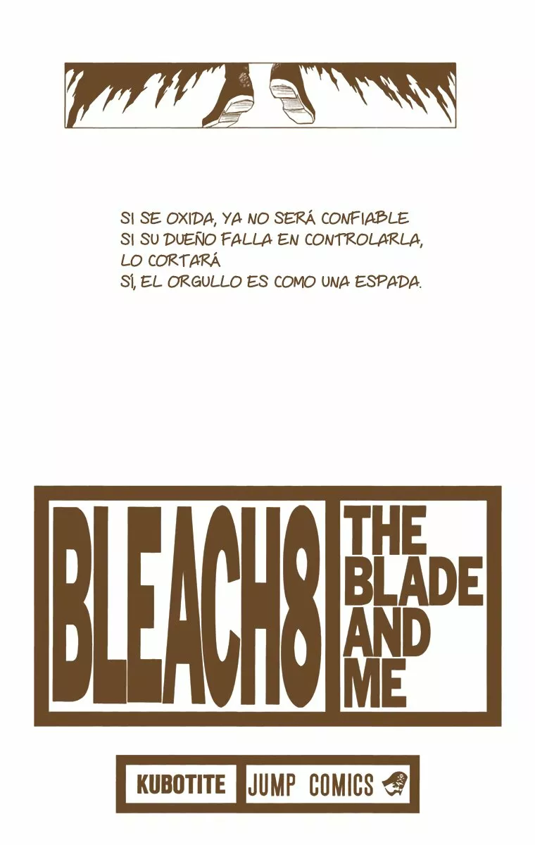Bleach – Digital Colored Comics Capítulo 62 - Page 3