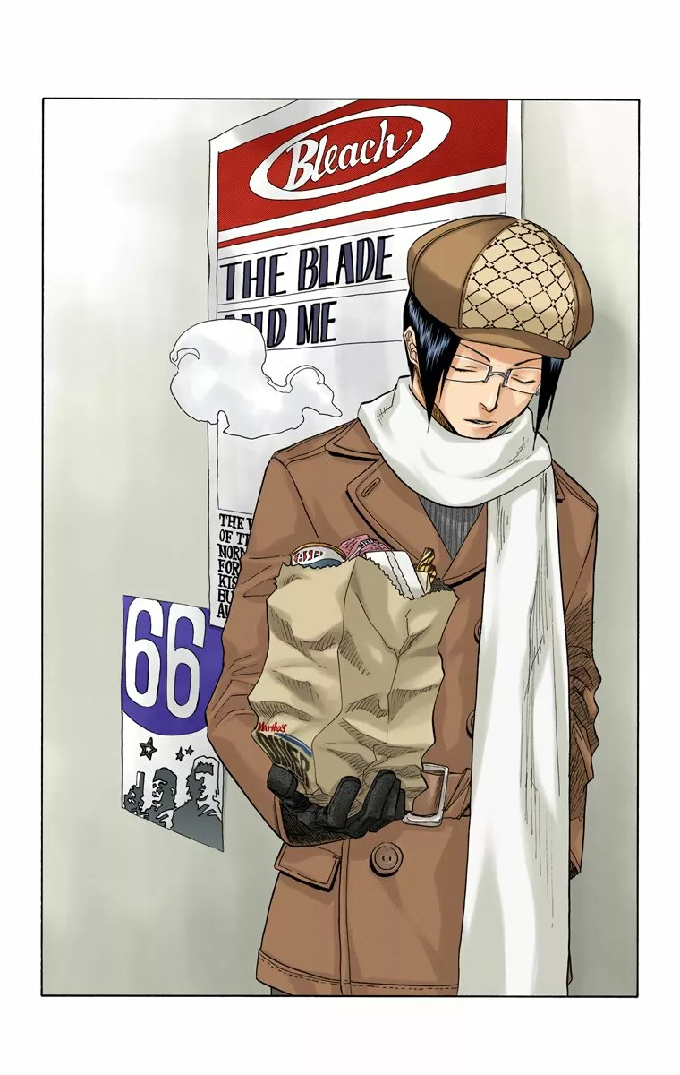 Bleach – Digital Colored Comics Capítulo 66 - Page 5