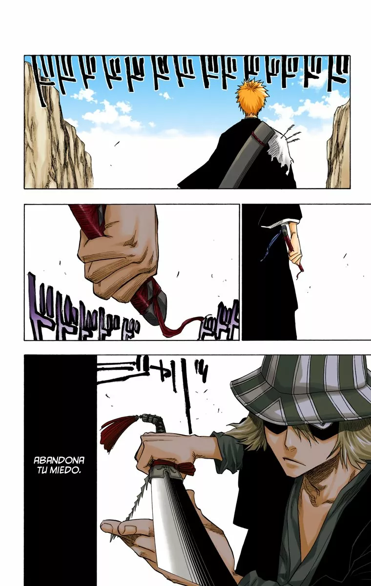 Bleach – Digital Colored Comics Capítulo 67 - Page 3