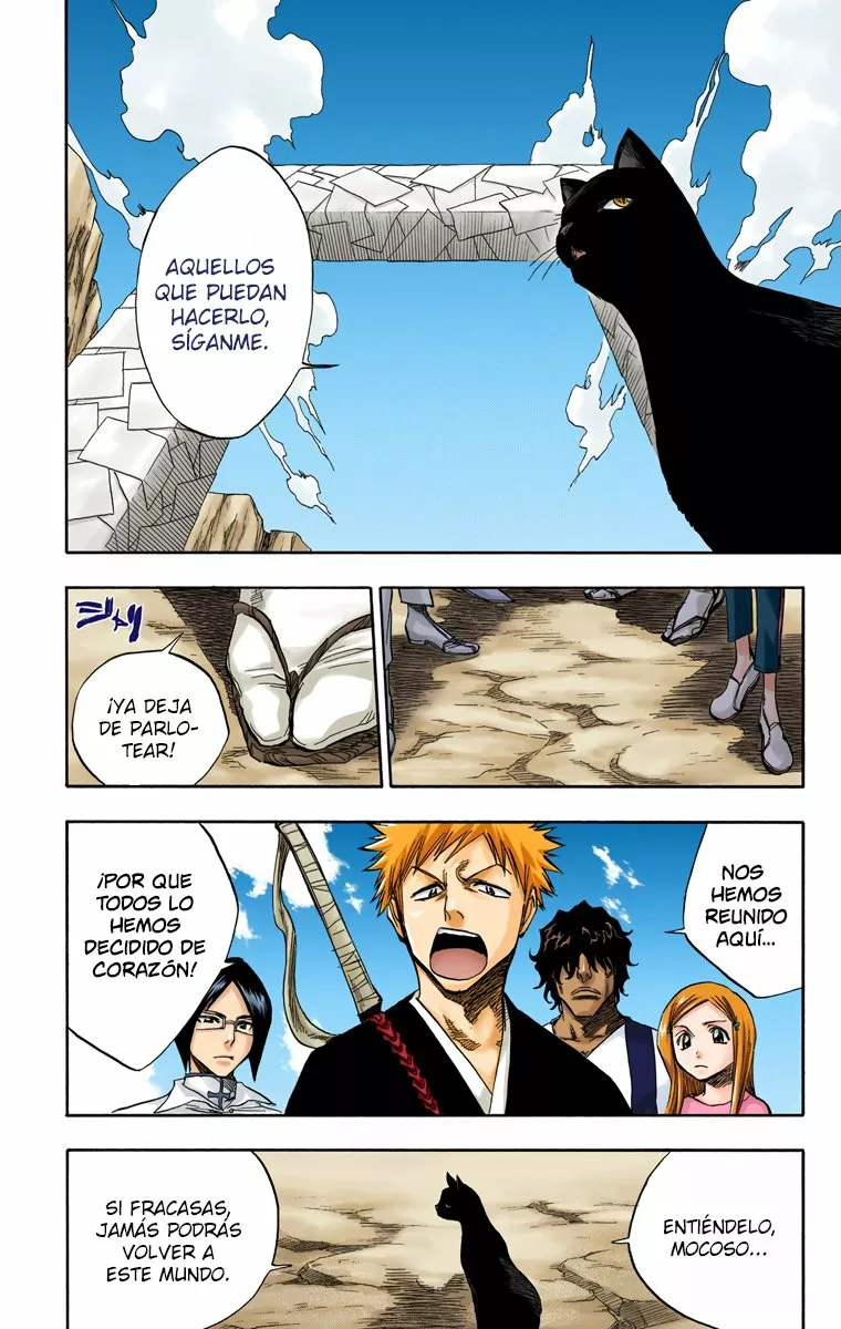Bleach – Digital Colored Comics Capítulo 70 - Page 13