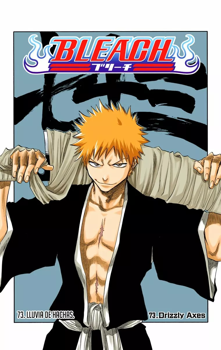 Bleach – Digital Colored Comics Capítulo 73 - Page 5