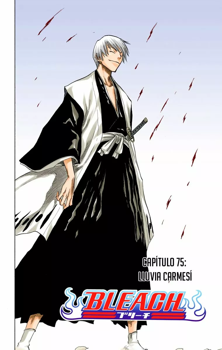 Bleach – Digital Colored Comics Capítulo 75 - Page 4