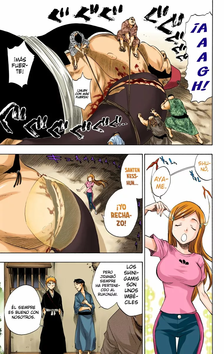 Bleach – Digital Colored Comics Capítulo 76 - Page 7