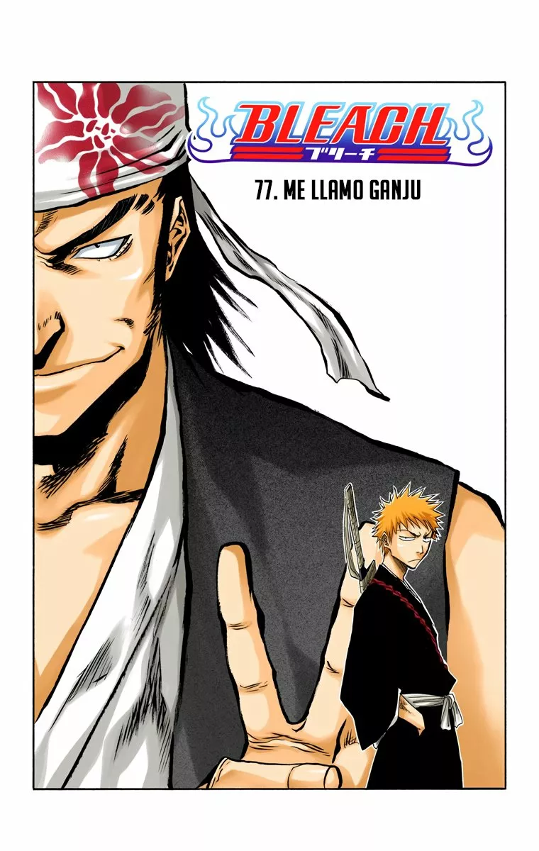 Bleach – Digital Colored Comics Capítulo 77 - Page 6