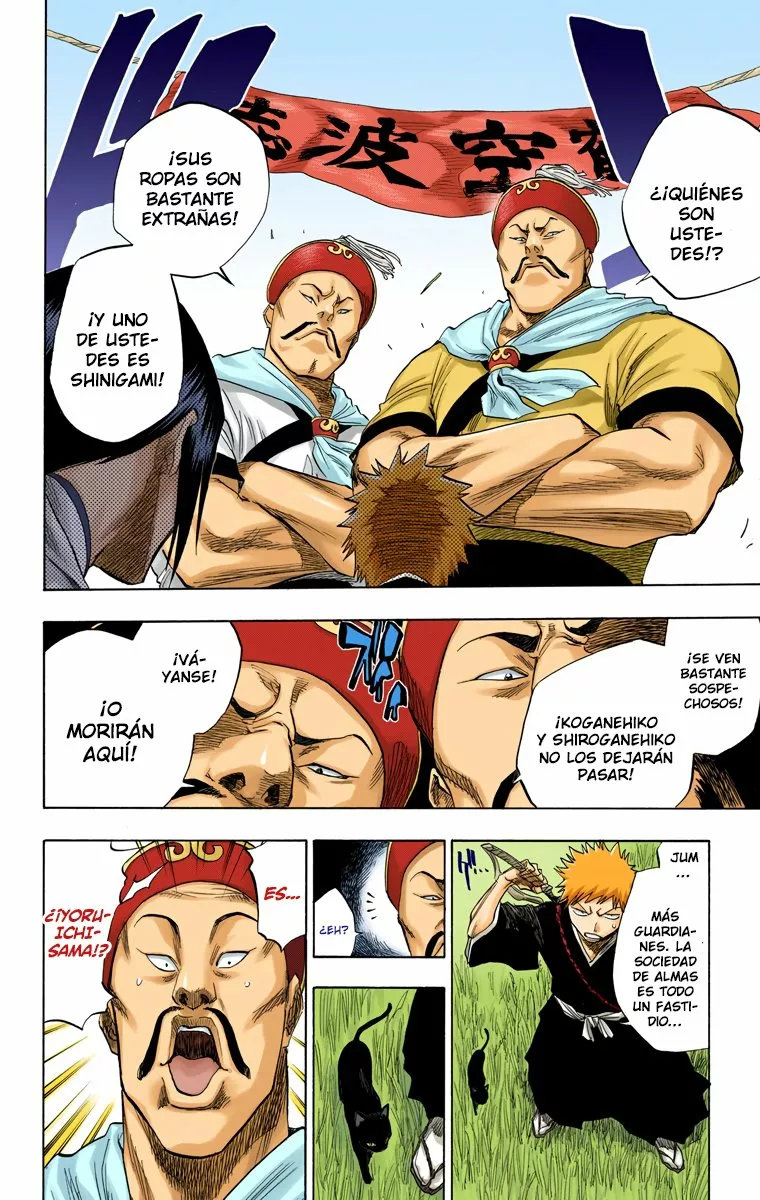Bleach – Digital Colored Comics Capítulo 78 - Page 13