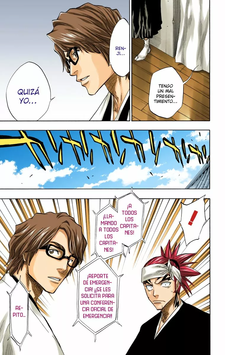 Bleach – Digital Colored Comics Capítulo 79 - Page 14