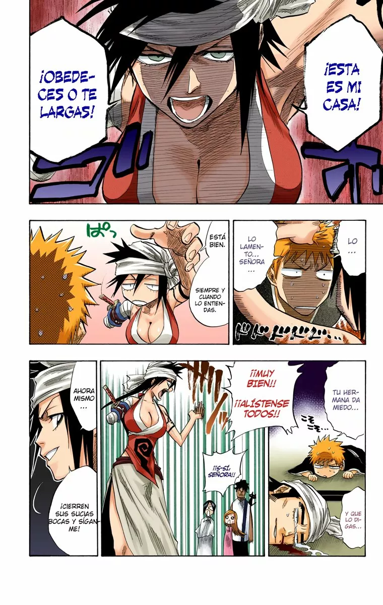 Bleach – Digital Colored Comics Capítulo 79 - Page 17