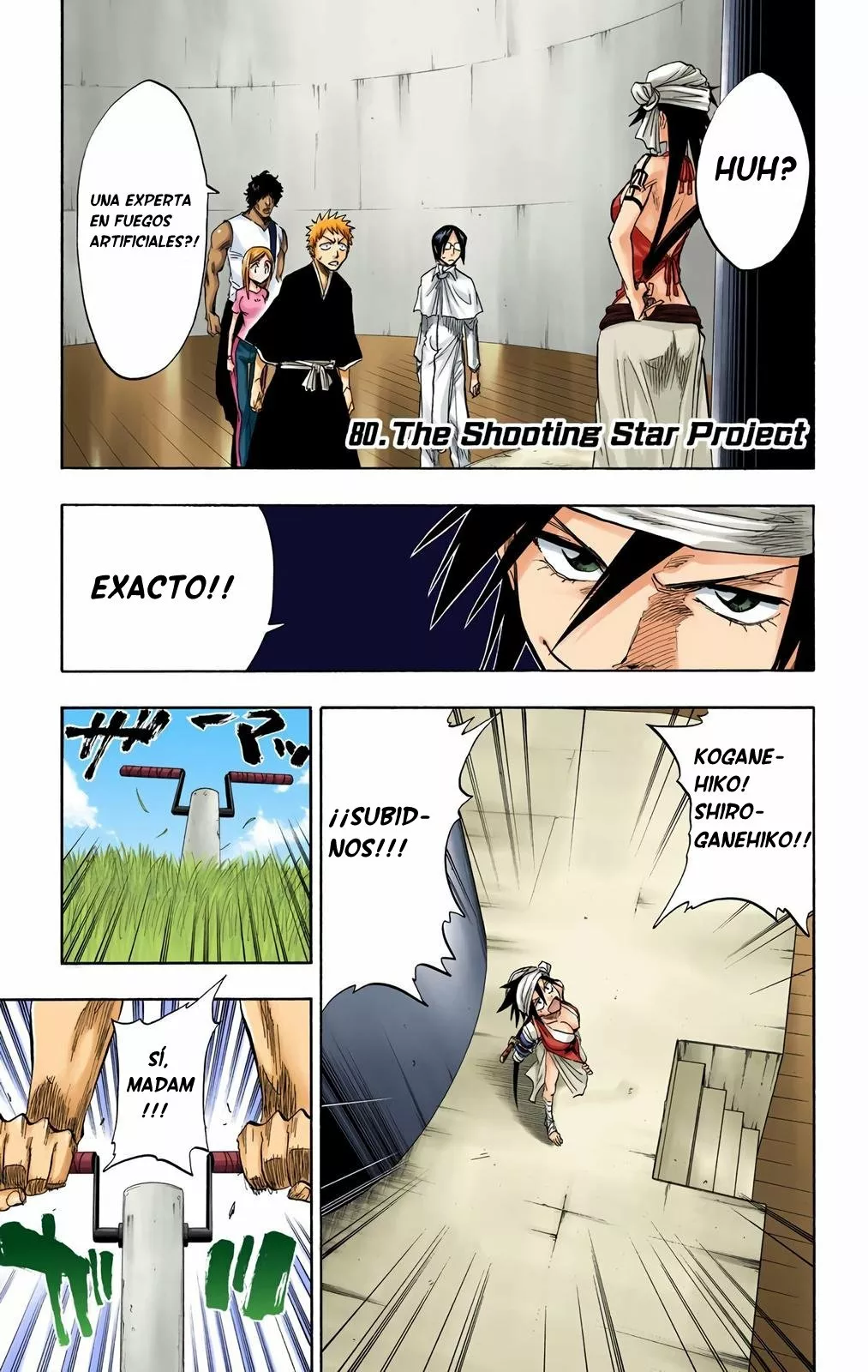 Bleach – Digital Colored Comics Capítulo 80 - Page 7