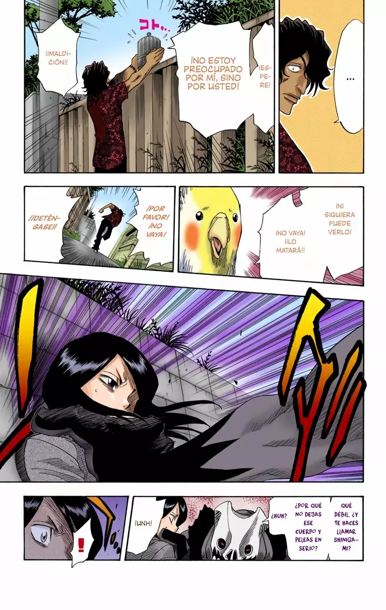 Bleach – Digital Colored Comics Capítulo 9 - Page 13