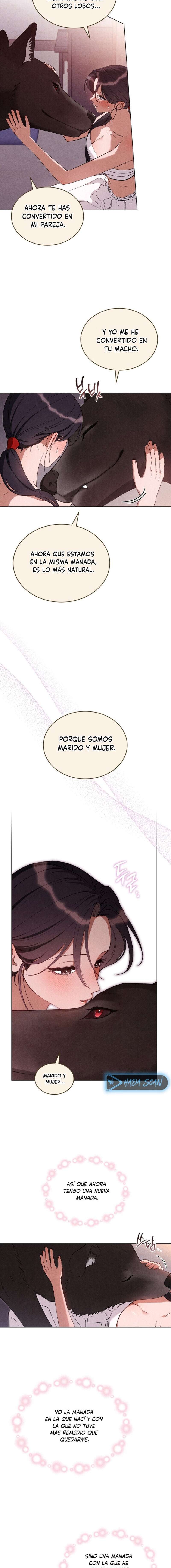 El Esposo Lobo Capítulo 16 - Page 7