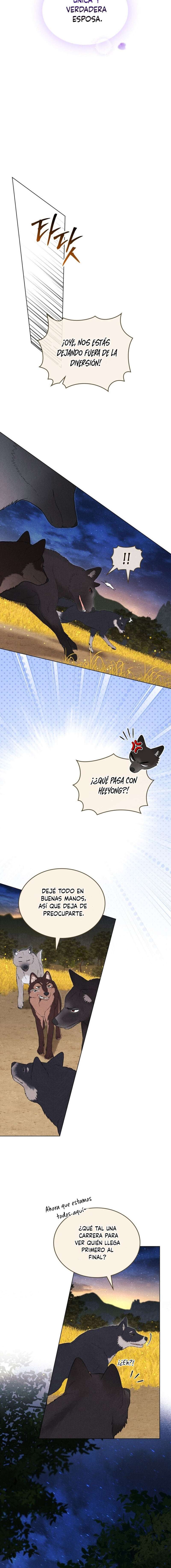 El Esposo Lobo Capítulo 26 - Page 16