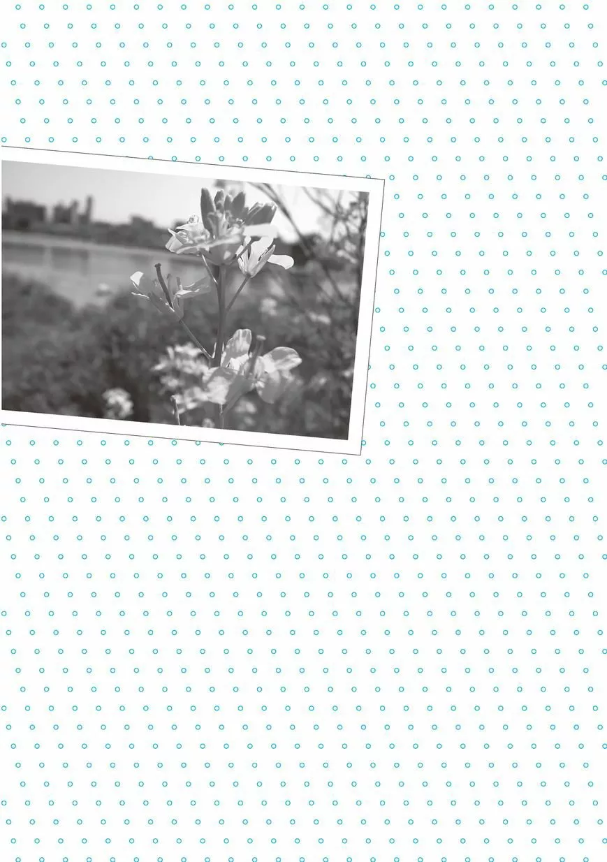 Mikako-san Capítulo 24 - Page 7