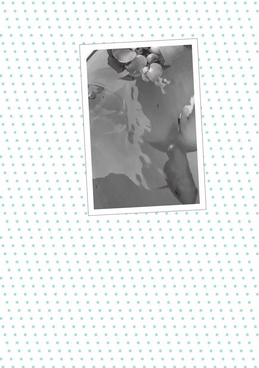 Mikako-san Capítulo 29 - Page 3